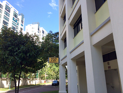 Blk 737 Tampines Street 72 (Tampines), HDB Executive #170045082
